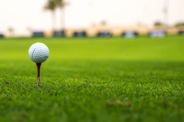 golf tournament leaderboard